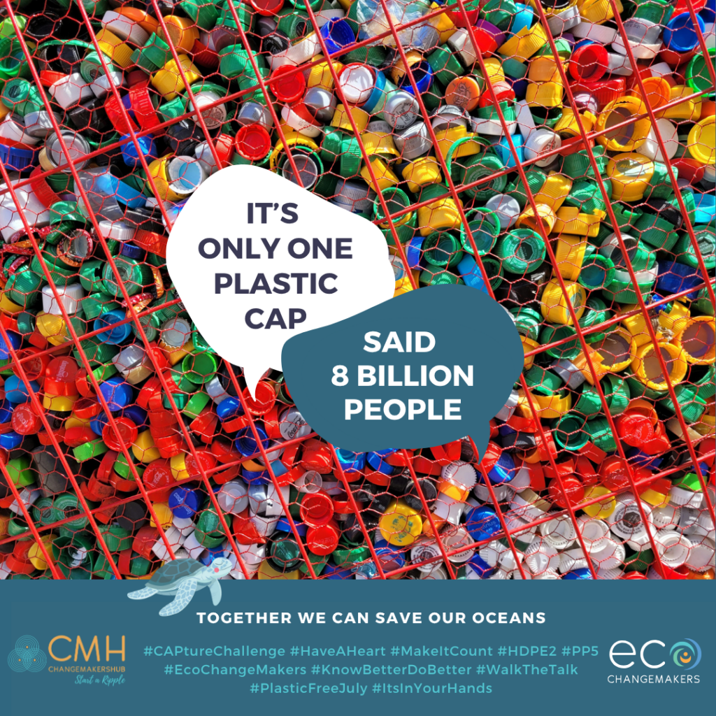 At ChangeMakersHub, we’re inviting YOU to join the EcoChangeMakers Plastic CAPture Challenge — starting this Mandela Month; #ItIsInYour hands as part of the Global movement: #PlasticFreeJuly